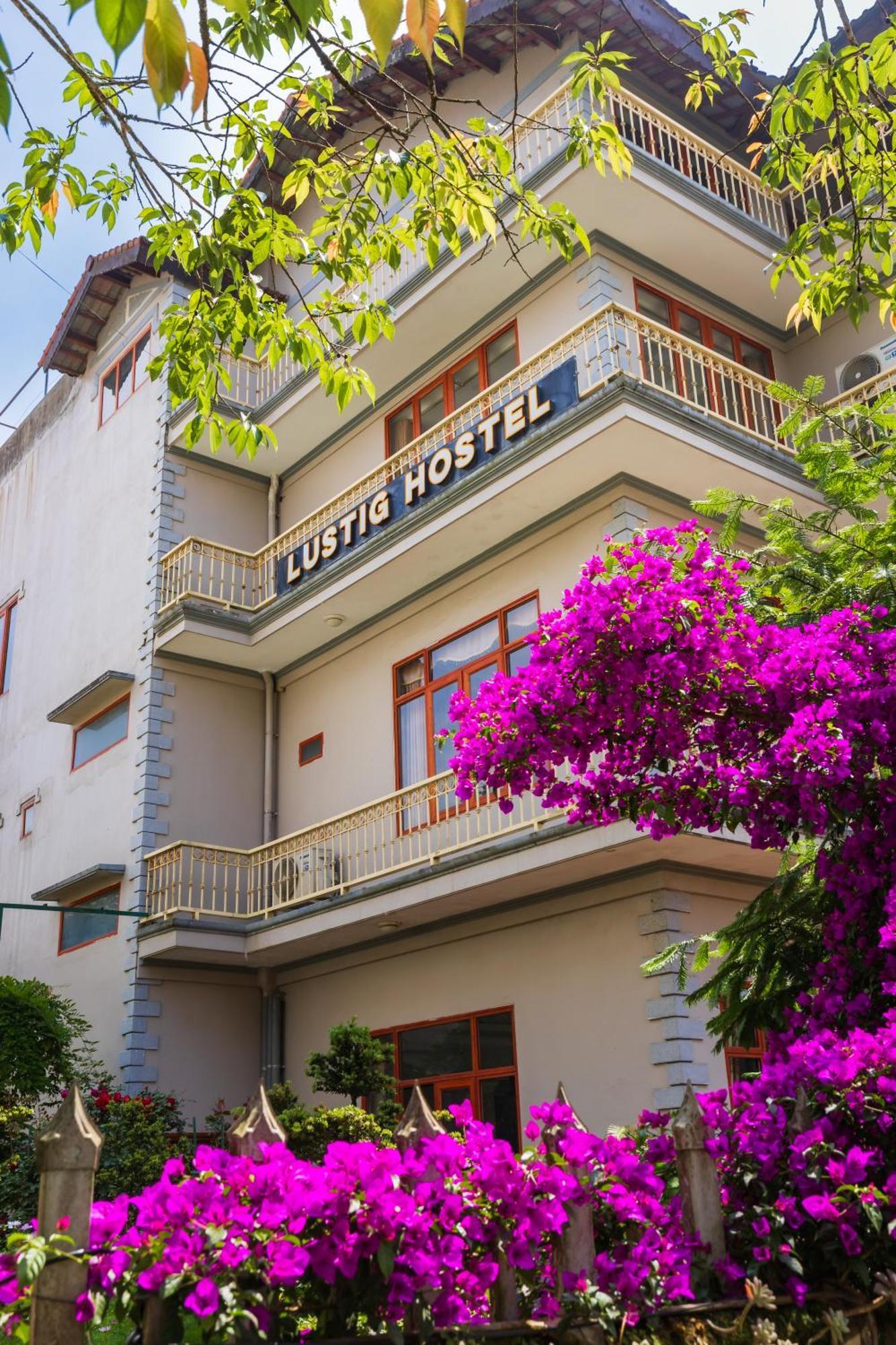 Lustig Auberge de jeunesse *